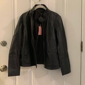 Quince black leather stand collar jacket